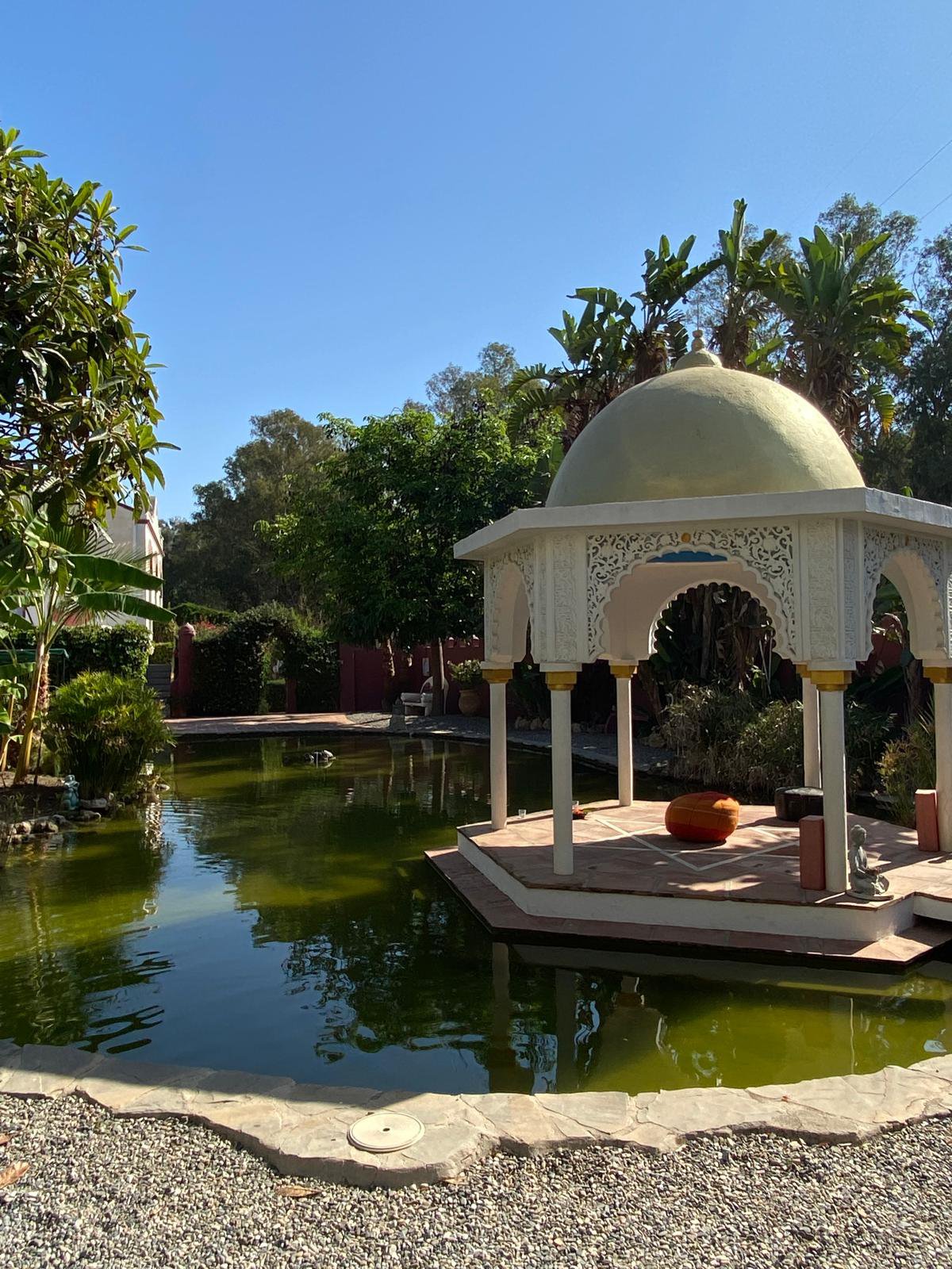 Pavillon Pool.jepg