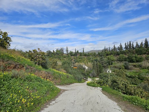 Weg zur Finca.jpg